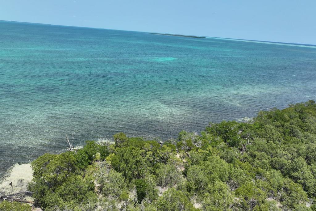 listing image with ID 97211