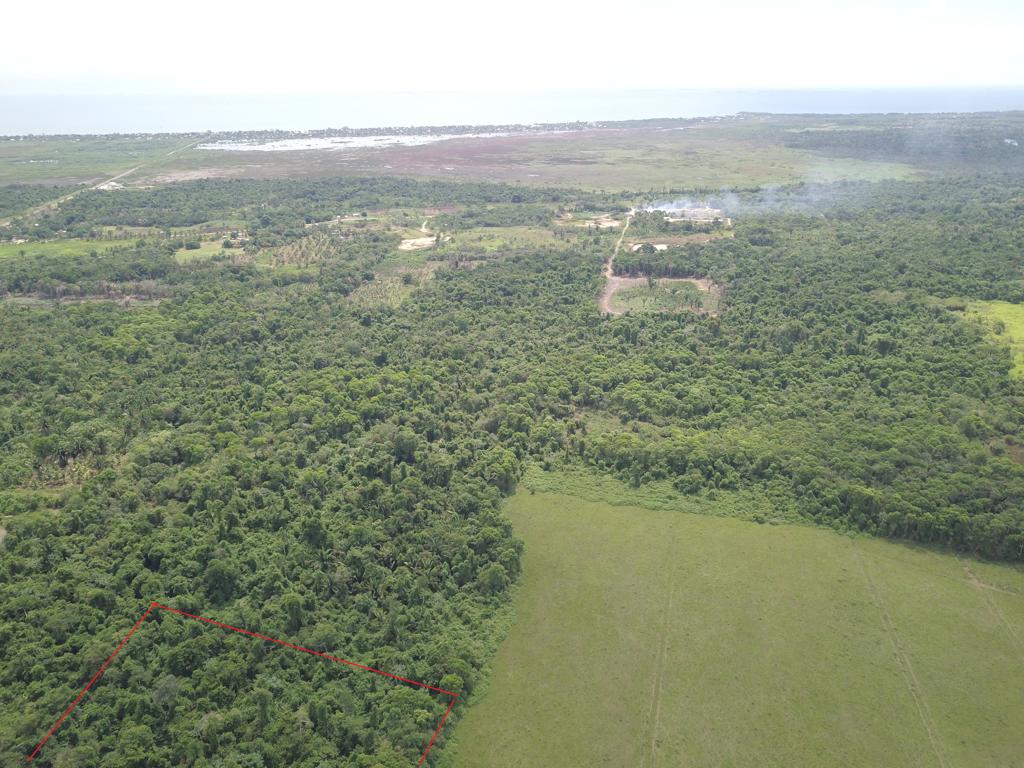 listing image with ID 76167