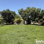 listing image thumbnail with ID 87074