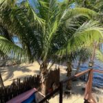 listing image thumbnail with ID 95895