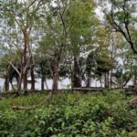 listing image thumbnail with ID 76069
