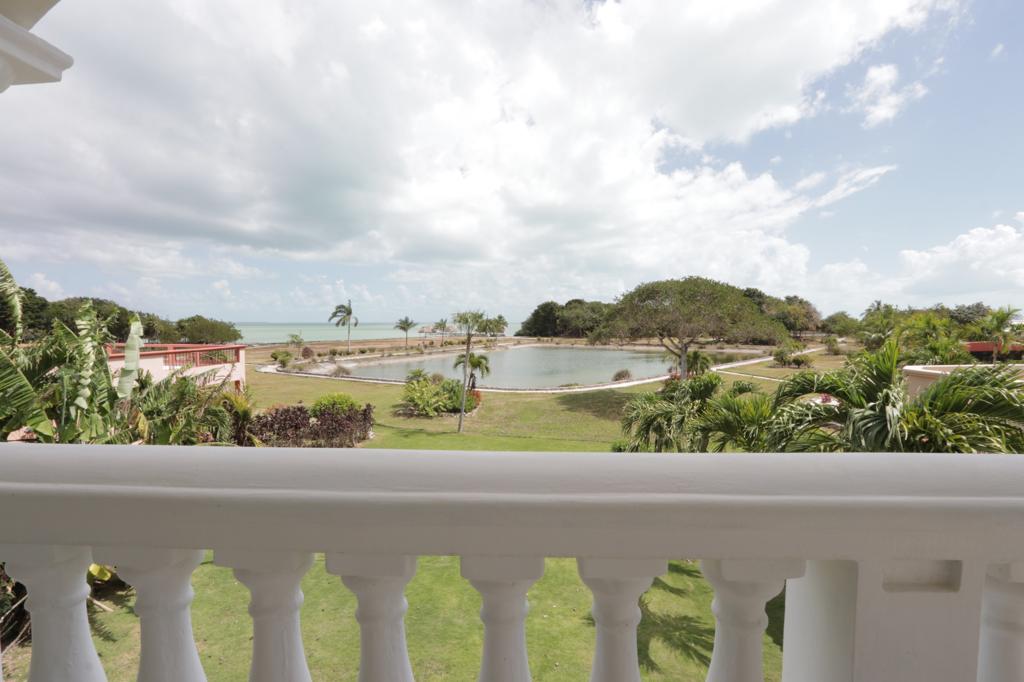 listing image with ID 92565