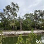 listing image thumbnail with ID 89213