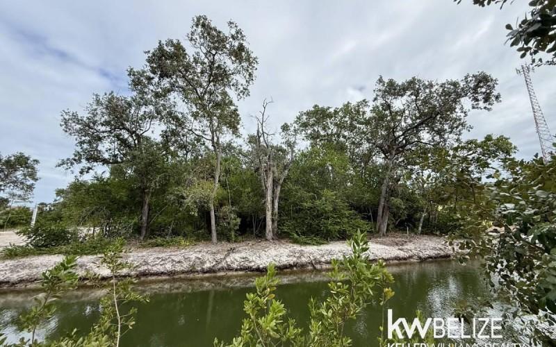 listing image with ID 89213