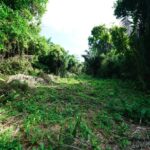 listing image thumbnail with ID 105745