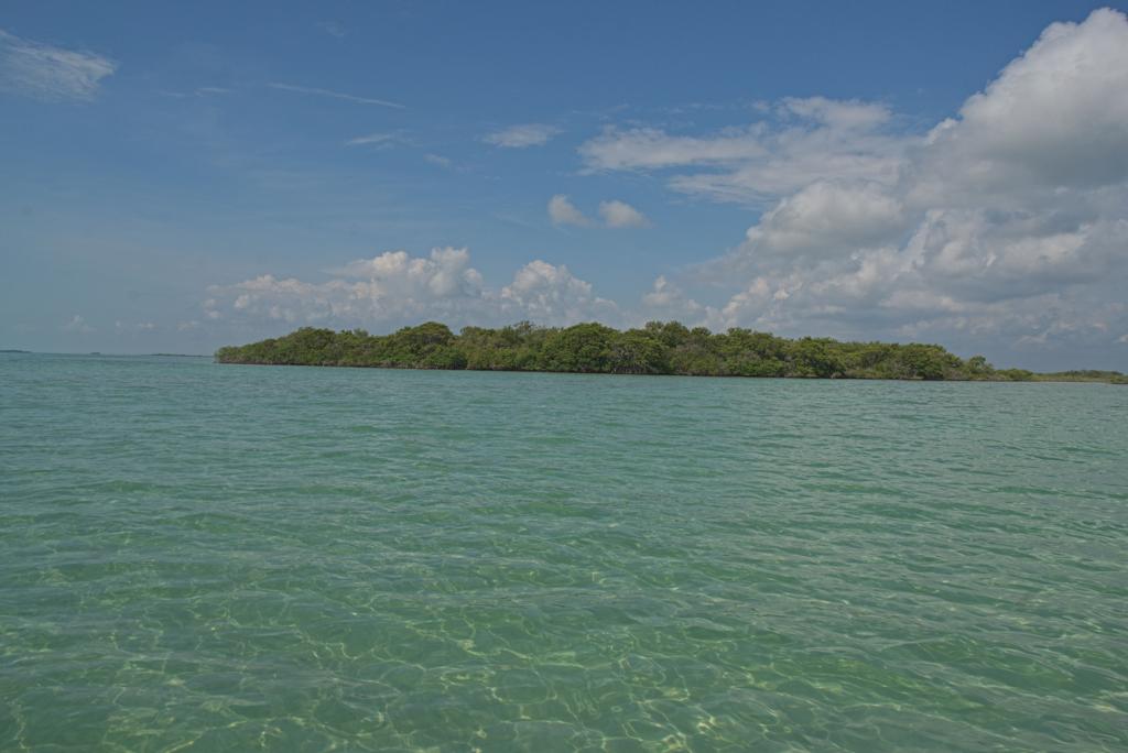 listing image with ID 100231