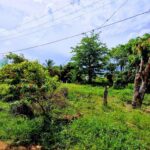 listing image thumbnail with ID 78040