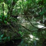 listing image thumbnail with ID 86743