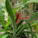 listing image thumbnail with ID 76831