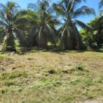 listing image thumbnail with ID 92186