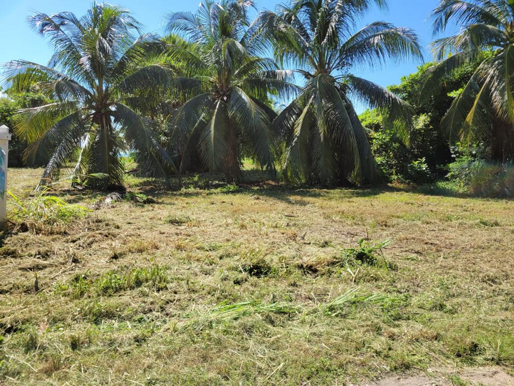listing image with ID 92186