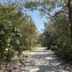 listing image thumbnail with ID 94268