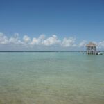 listing image thumbnail with ID 98627