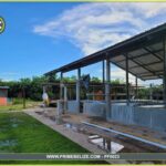 listing image thumbnail with ID 97216