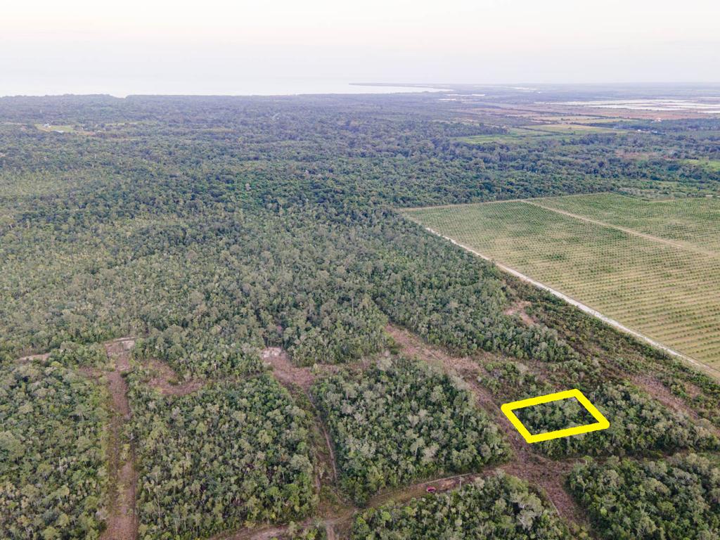 listing image with ID 94438