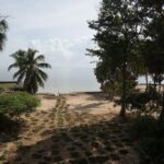 listing image thumbnail with ID 106971