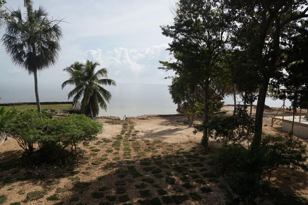 listing image with ID 106971