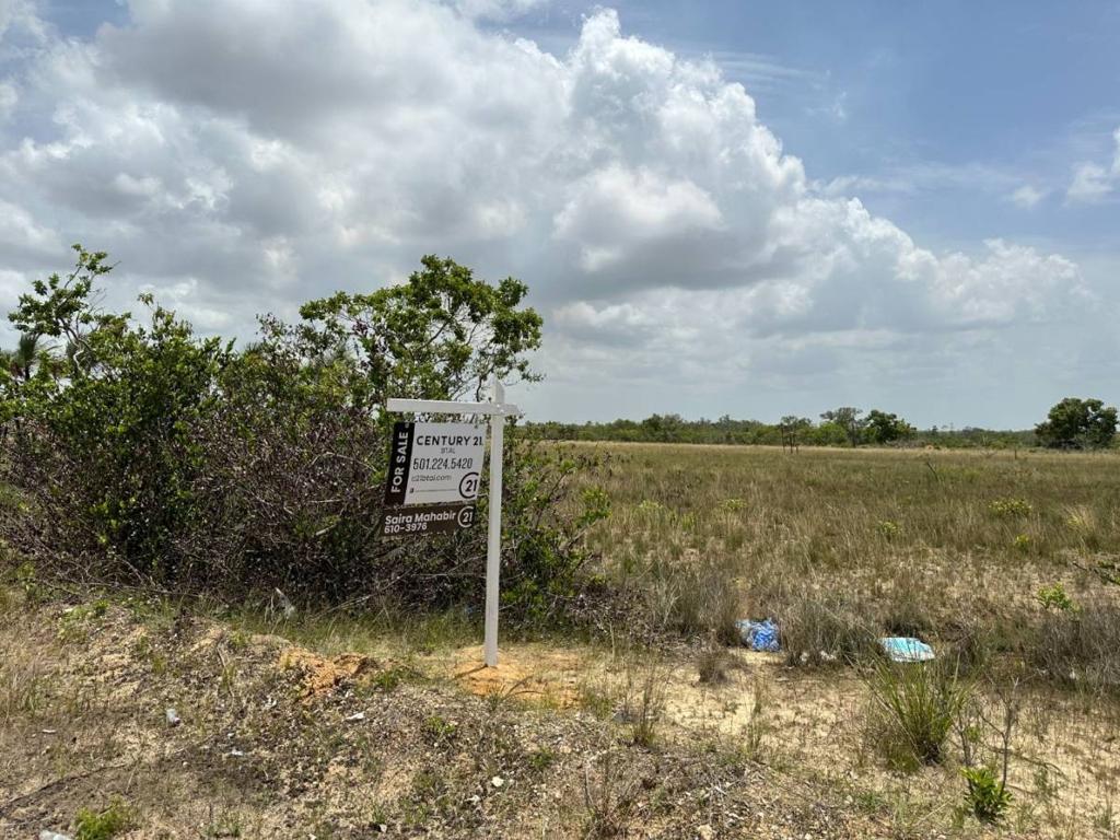 listing image with ID 103232