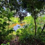 listing image thumbnail with ID 77479