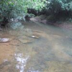 listing image thumbnail with ID 97923