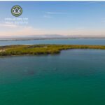 listing image thumbnail with ID 74332