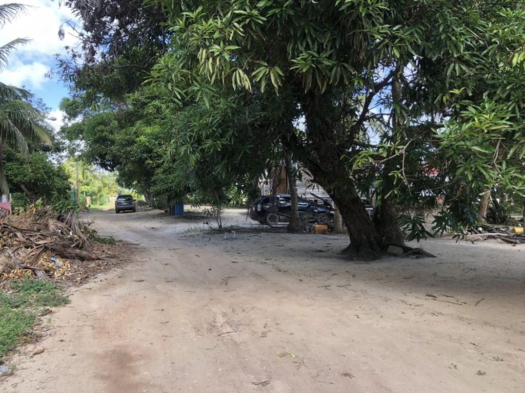 listing image with ID 97558