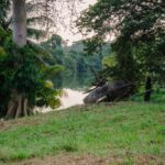 listing image thumbnail with ID 97110