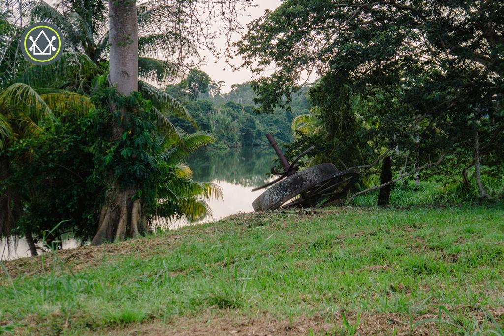 listing image with ID 97110