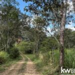 listing image thumbnail with ID 84445
