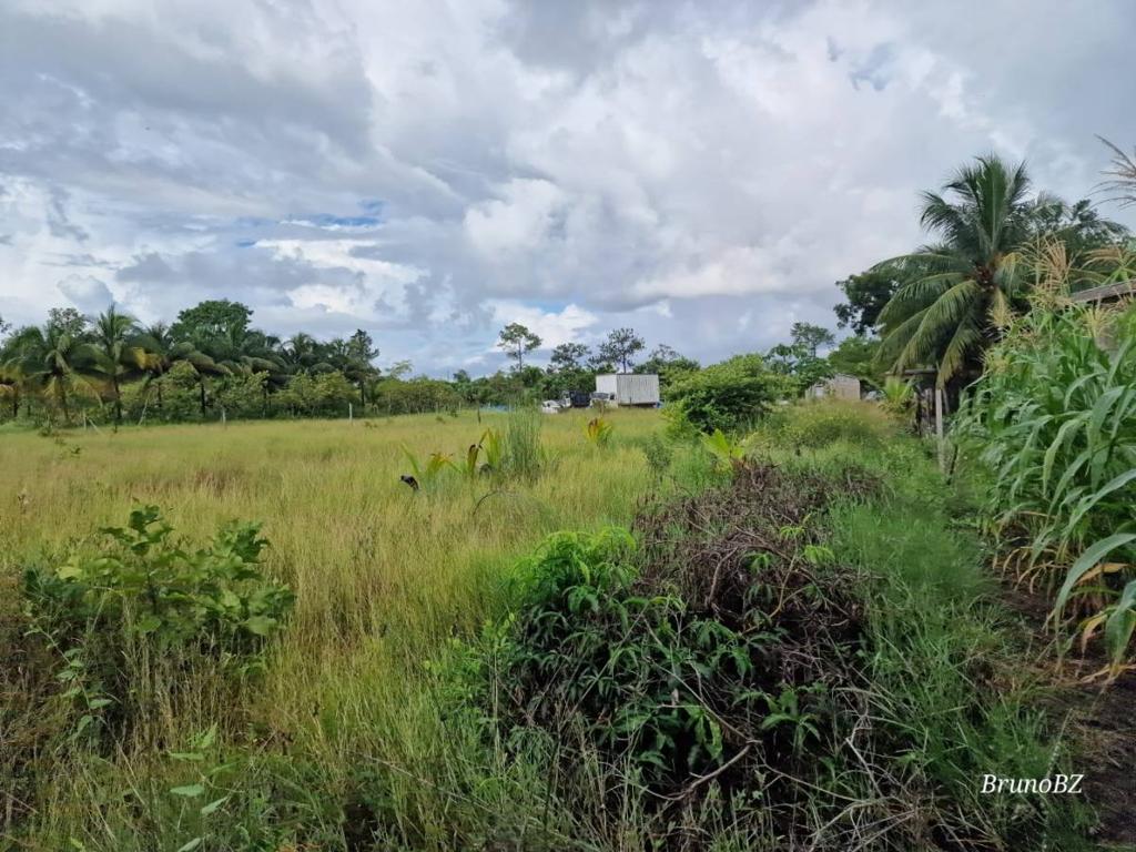 listing image with ID 108175