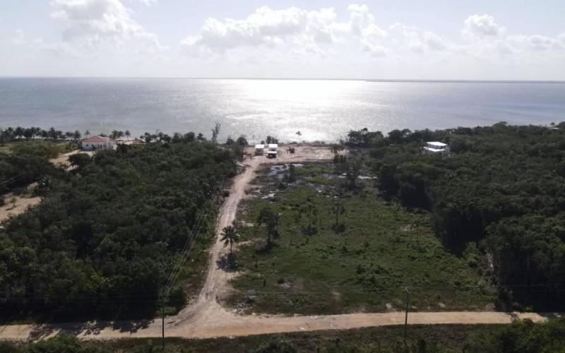 listing image with ID 91442