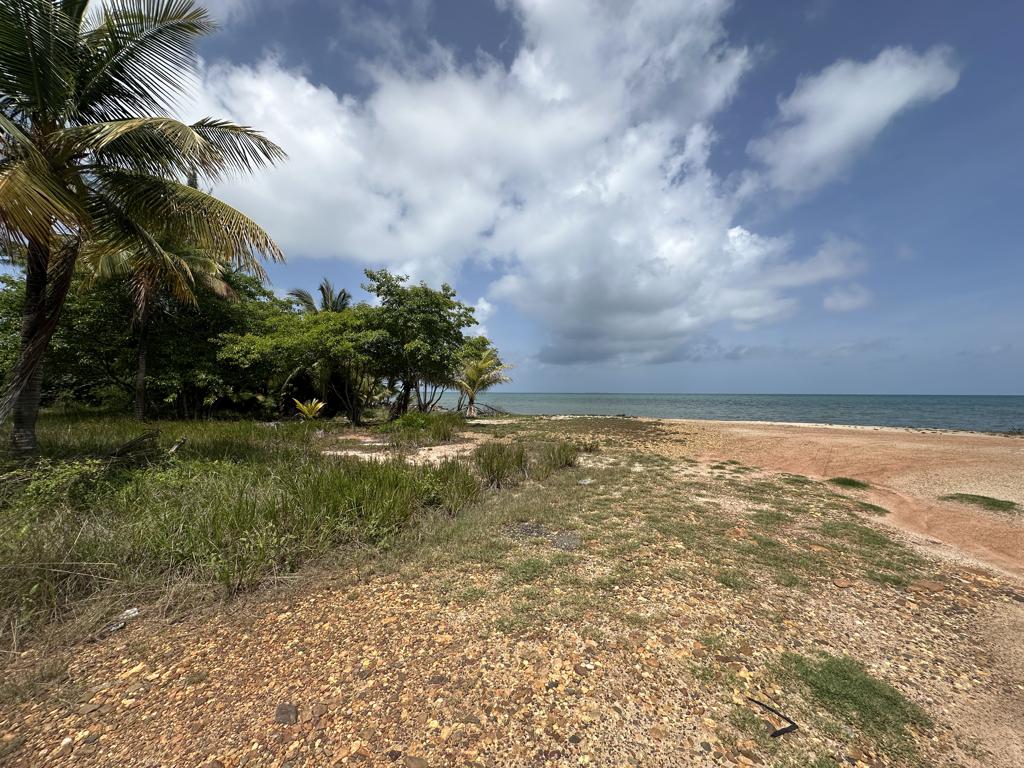 listing image with ID 80365