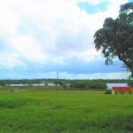 listing image thumbnail with ID 93550