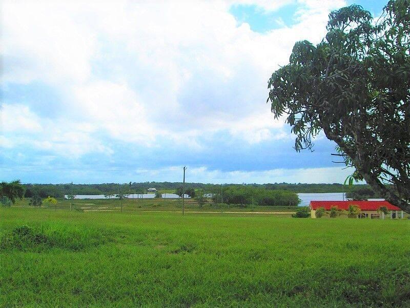 listing image with ID 93550