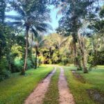 listing image thumbnail with ID 92295