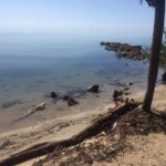 listing image thumbnail with ID 81948