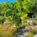 listing image thumbnail with ID 89349