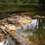 listing image thumbnail with ID 100399