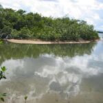 listing image thumbnail with ID 87341