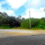 listing image thumbnail with ID 92987