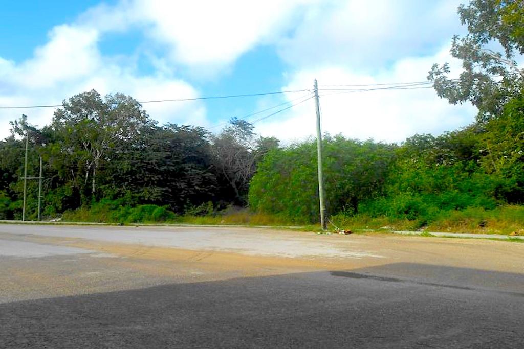 listing image with ID 92987