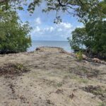 listing image thumbnail with ID 78391