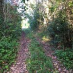 listing image thumbnail with ID 78645