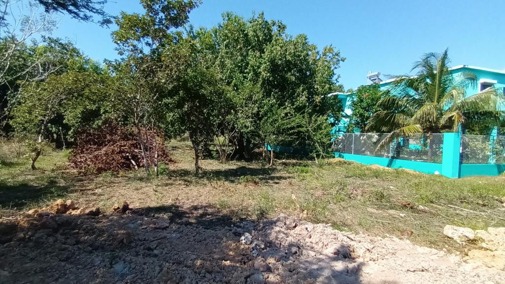 listing image with ID 87702
