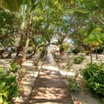 listing image thumbnail with ID 90796