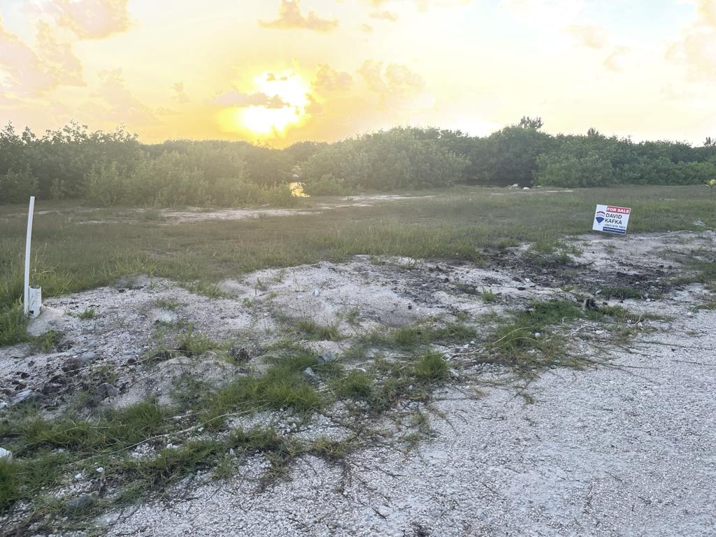 listing image with ID 99497