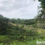 listing image thumbnail with ID 92665