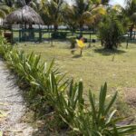listing image thumbnail with ID 101588