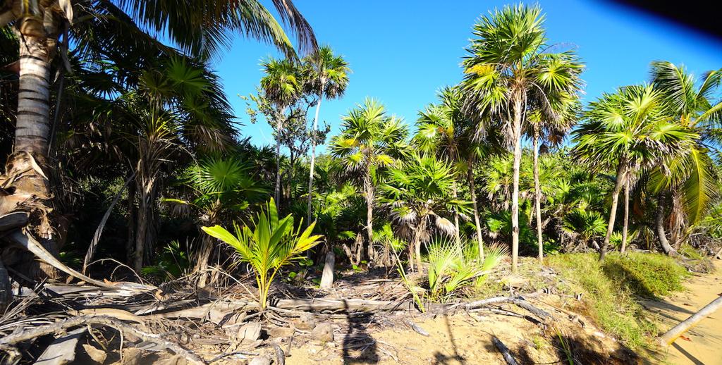 listing image with ID 108621