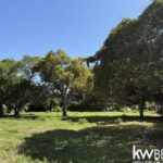 listing image thumbnail with ID 108265
